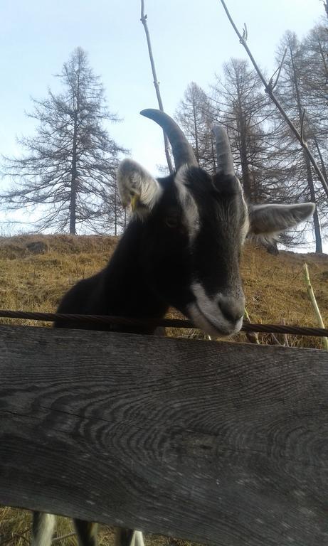 Ferienwohnung Kramserhof Heiligenblut am Großglockner Exterior foto